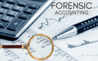 9 Essential Forensic Accounting Techniques Every Carmel Business Owner Must Know