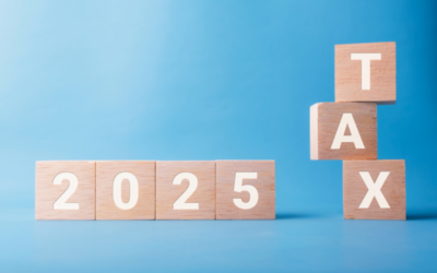 Why Carmel Businesses Trust Savage Accountancy for Tax Season Success